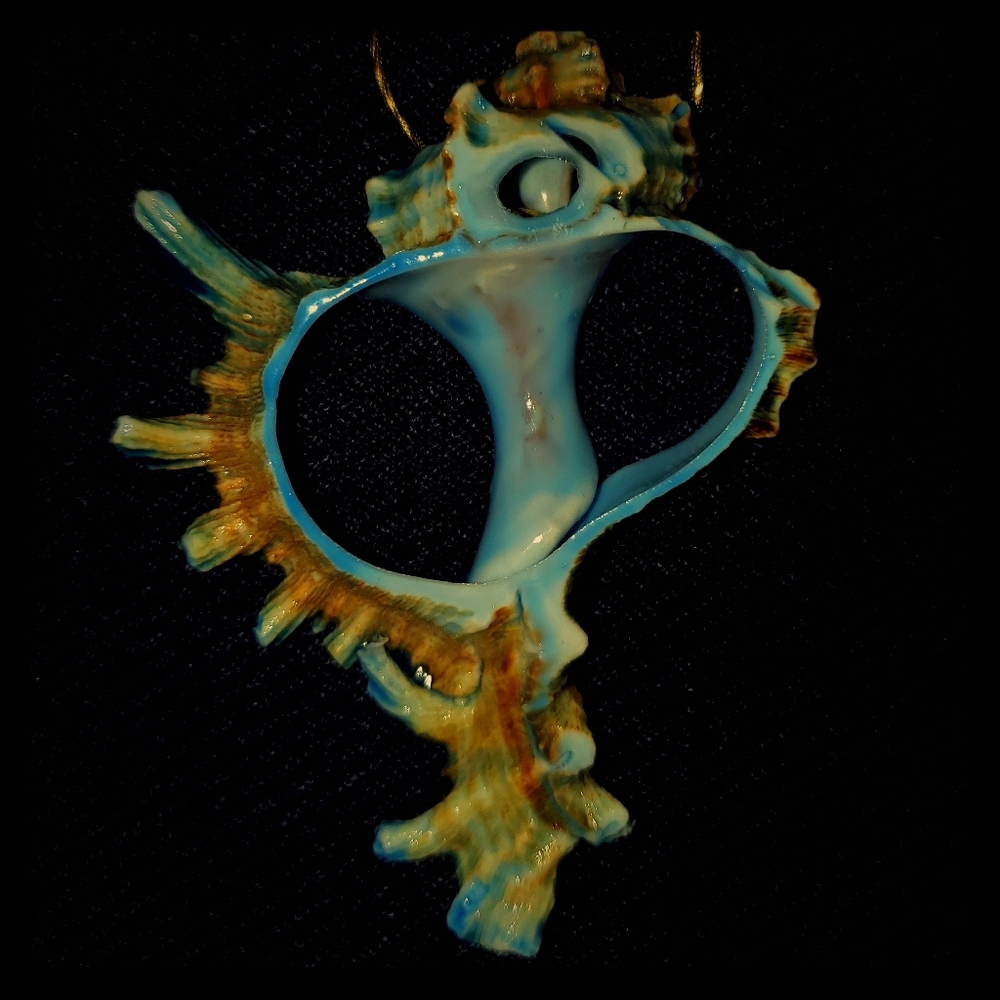 Vintage Seashell Conch Boho Hippie Necklace